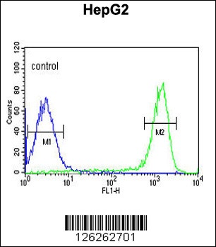 FAAH2 Antibody