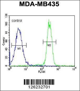 SGF29 Antibody