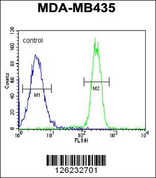 CCDC101 Antibody