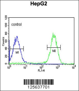 TESC Antibody