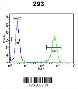 JHDM1D Antibody