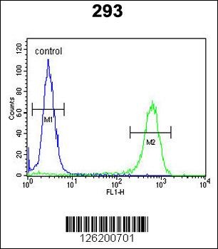 KDM7A Antibody