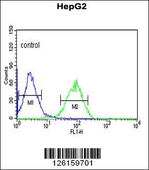 NR5A1 Antibody