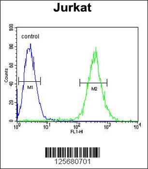 GLRX5 Antibody