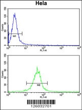 FAM91A1 Antibody