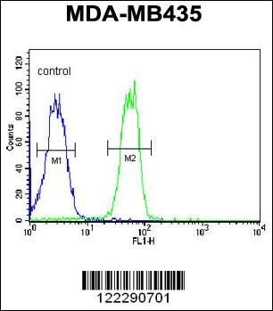 BTNL8 Antibody