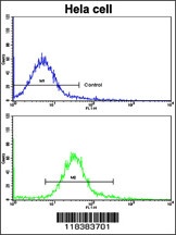 CA9 Antibody