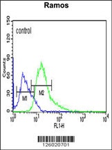 ARHGAP30 Antibody