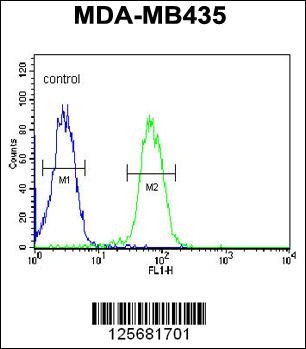 SMPDL3A Antibody