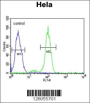PTPLB Antibody