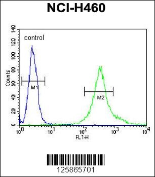 LPPR4 Antibody