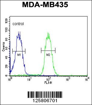 TMEM30B Antibody