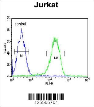 PAN3 Antibody