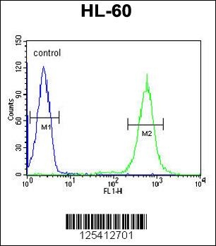 PDXDC1 Antibody