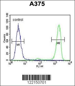 ITPA Antibody