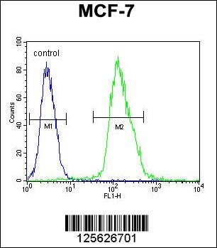 MFAP4 Antibody