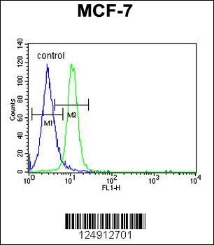 PSG7 Antibody