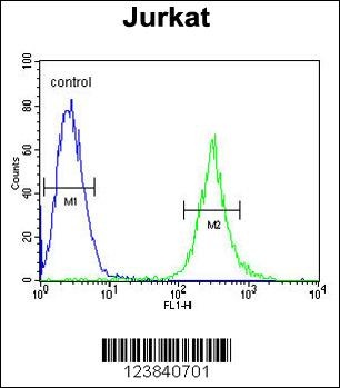 APITD1 Antibody