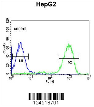 OPN1MW Antibody