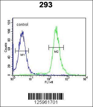 GBP7 Antibody