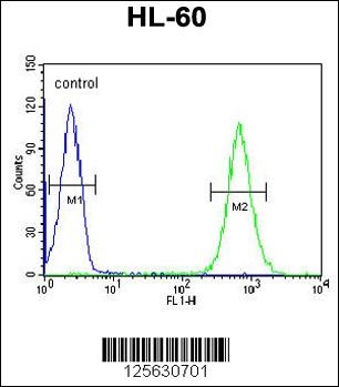 MILK2 Antibody