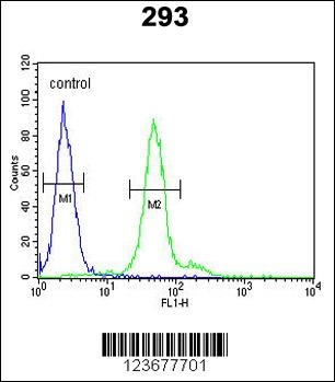 DDX23 Antibody