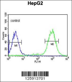 C19orf21 Antibody