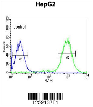 MISP Antibody