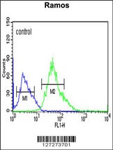 CORO6 Antibody
