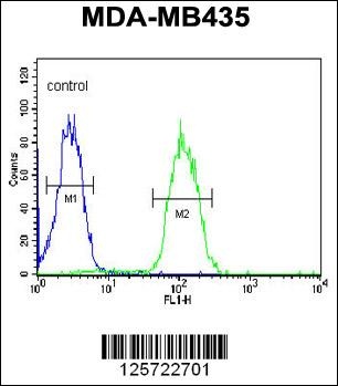 DHRS7 Antibody