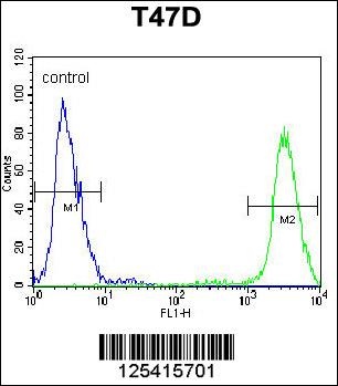 PIGM Antibody