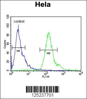 MMGT1 Antibody