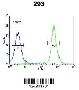 A2ML1 Antibody