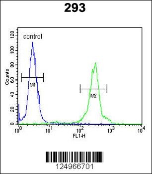 GL8D2 Antibody