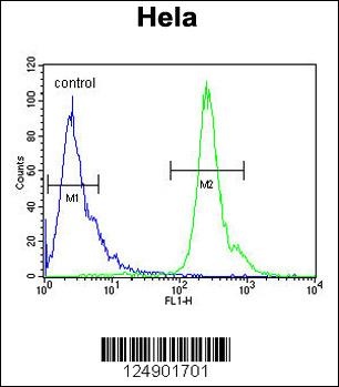 PNPLA8 Antibody