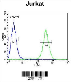 HNRPL Antibody
