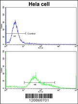 STRAP Antibody