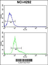 GSTO1 Antibody