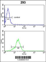 PRDX1 Antibody