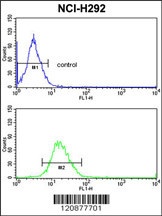 PDIA3 Antibody