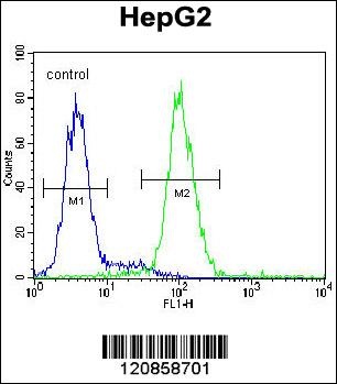 PSMD7 Antibody