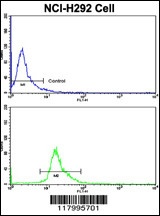 PROCR Antibody