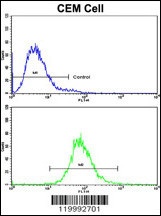 CD36 Antibody