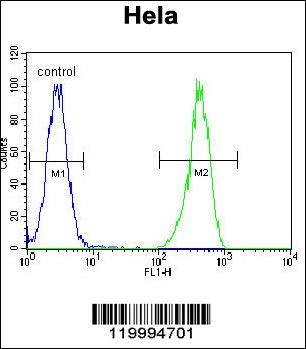 ENOA Antibody