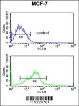 PA2G4 Antibody