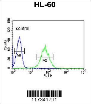SNRPD1 Antibody