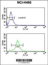 PPAP2C Antibody