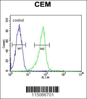 ITGB1BP3 Antibody