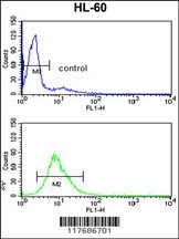 EXOSC8 Antibody