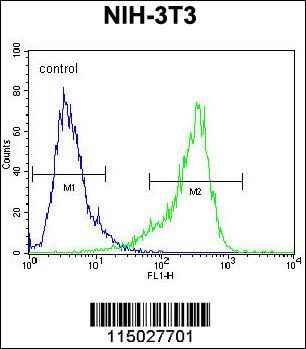 CYP26A1 Antibody